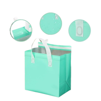 Sacs isothermes réutilisables et recyclables en gros avec poignée longue, compartiment en non-tissé laminé aluminium