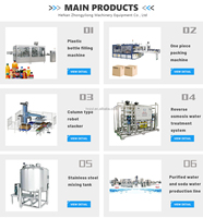 Fabriek Complete Machine Drinkwater Zuivering Wassen Botteling Capping Productielijn