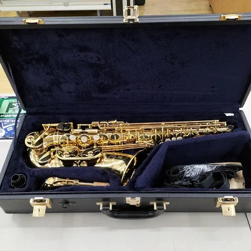 Nieuwe Yamaha 'S YAS-875EXII Aangepaste Professionele Altsaxofoon Met Complete Onderdelen En Accessoires