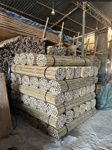 Cañas de bambú de Vietnam suministradas en varios tamaños para paisajismo, agricultura, muebles y fines decorativos - Product Image 3
