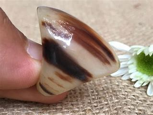 Corne de boeuf naturelle Bague traditionnelle chrétienne Taille personnalisable Polie brillante Meilleure qualité Corne de vache buffle Croissant Artisanat - Product Image 3