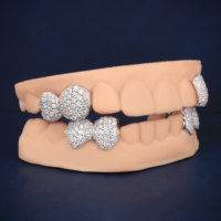 Personnalisé Hip Hop Grillz VVS Glacé Haute Qualité Moissanite Top 4 Bottom 4 Argent 925 Grillz Pass Diamant Test Fine Jewelry