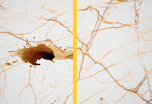 FILA Surface Care Solutions SR95 Organic <b>Liquid</b> Stain Remover Wine <b>Coffee</b> Tea Stain Indelible Marker Cleaner Detergent Porcelain - Product Image 5