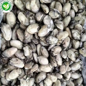 SD IQF Đông Lạnh Thịt Hàu Từ Trung Quốc Đóng Hộp Nước Ngọt Hàu - Product Image 4