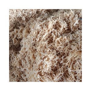 Algues Eucheuma Cottonii séchées naturelles de haute qualité pour gel d'extrait - Product Image 1