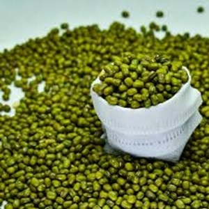 ถั่วเขียวสีเขียวควบคุมความชื้นเกรดทางการเกษตรสามารถส่งออกได้ในราคาฟาร์ม - Product Image 1