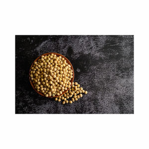 อาหารถั่วเหลืองโปรตีนสูงอาหารจากสายการผลิต - Product Image 4