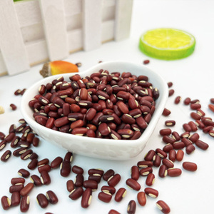 Red Kidney Beans Wholesale Dark Red Kidney Beans With Export Red Kidney Beans High Quality - Product Image 1