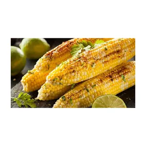 Clean Dried Yellow Corn / Dried Yellow Maize | Bulk dried white corn and yellow corn Available Dried