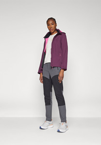 Chaqueta Softshell Brenham para mujer, superventas, violeta, precio de fábrica, mangas completas y cortavientos, chaquetas para correr al aire libre para mujer - Product Image 5