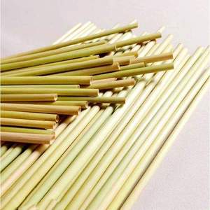100% Natural <b>Reusable</b> Grass <b>Straws</b> Eco-friendly Green Grass Drinking <b>Straw</b> Disposable Grass Drinking <b>Straws</b> - Product Image 2