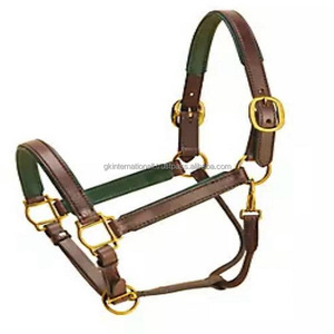 Cabestro de caballo acolchado de cuero de 1 pulgada de ancho con herrajes de latón ajustable sólido disponible en todos los tamaños y colores - Product Image 6
