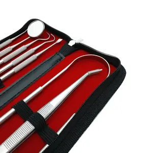 Kit professionnel d'hygiène dentaire en acier inoxydable : gratte-tartre manuel et instruments de détartrage pour éliminer la plaque dentaire - Product Image 2