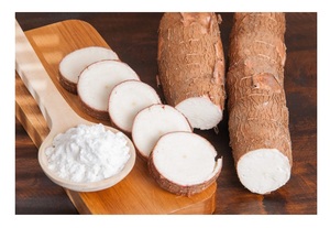 แป้งมันสำปะหลังพื้นเมืองเวียดนาม99% บริสุทธิ์ - Product Image 2