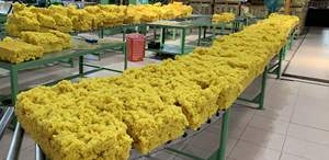 SVR CV50 Natural Rubber Superior Uniformity & Performance - Product Image 4