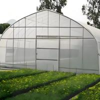 Serre agricole monopente à structure en acier galvanisé à chaud avec couverture en film PE transparent pour la culture de cultures côtières