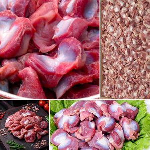 Filetes de pechuga de pollo congelados, carne de aves de corral deshuesada IQF, envasada en cajas de cartón a granel para exportación y procesamiento de alimentos - Product Image 2