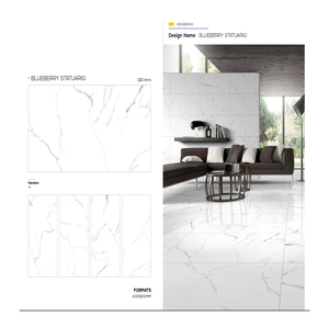 Carreaux de sol en céramique en porcelaine pleine masse homogène de haute qualité 600x1200mm, finition mate moderne, pour la décoration intérieure - Product Image 1