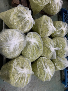 Meilleure citronnelle fraîche congelée et hachée Bevroren Citroengras Gehakt culture asiatique sans OGM purée de citronnelle 0084935825297WA - Product Image 2