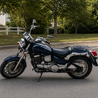 Porte-bagages chromé pour siège solo, porte-bagages arrière en acier, porte-cargaison sans perçage pour Harley Sportster XLH883 XLH1200 1985 à 2003