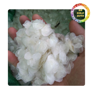 Escamas de pescado para uso industrial | Materia Prima para gelatina y adhesivos | Suministro a granel - Product Image 6