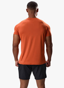 T-shirt de sport pour homme, léger, pour la salle de sport, entraînement physique, streetwear, décontracté, manches courtes, vêtements de sport - Product Image 6
