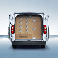 Wuling Yangguang NEV Van, véhicule utilitaire électrique 2-14 places, bus de passagers, autonomie 300 km, moteur électrique, conduite à gauche, à vendre