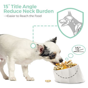 Alimentador para animais de estimação antiderrapante à prova de derramamento por atacado em aço inoxidável + melamina - Product Image 5