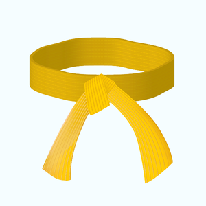 Cinturón BJJ personalizable de 300 CM de algodón polivinílico sólido de un solo Color para equipo de entrenamiento de artes marciales MMA - Product Image 4