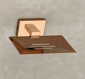 MISHWA Porte-savon PD-401 en acier inoxydable en vrac pour les hôtels 5 étoiles Luxury Spas & Resorts OEM/ODM Custom Branding Available - Product Image 2