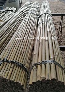 Estacas de bambú natural de alta calidad Buena opción para la decoración de soporte de plantas Estacas de bambú para la Agricultura - Product Image 4