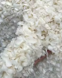 ÉCHELLE DE POISSON PREMIUM / ADAPTÉE POUR LE COLLAGÈNE, LA GÉLATINE / BIO-PROCESSING - Product Image 5