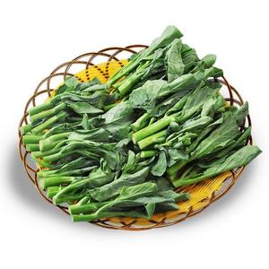 Extracto natural de antocianidinas 25%, extracto de col roja en polvo - Product Image 1