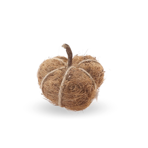 2025มะพร้าวมะพร้าวมะพร้าวมะพร้าวที่ทนทานของเล่นเคี้ยวของเล่นสัตว์เลี้ยงขนาดเล็กรูปทรงฟักทองเคี้ยวลูกบอลกระต่ายกินได้อื่นๆ - Product Image 4