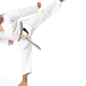 Uniforme de Karate al por mayor, ropa de artes marciales cómoda y ligera de alta calidad con el mejor diseño y precio barato, novedad - Product Image 6