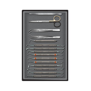 Ensemble d'instruments de chirurgie parodontale PISSCO, ensemble d'instruments de chirurgie dentaire pour interventions parodontales, 15 pièces - Product Image 1
