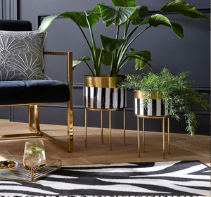 Jardinière rectangulaire en rotin, support en métal noir, design moderne bohème, porte-plante d'intérieur unique, disponible à prix de gros - Product Image 2