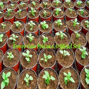 พรีเมี่ยมที่มีคุณภาพบริสุทธิ์และอินทรีย์มะพร้าวพีทบล็อก5กิโลกรัมสำหรับขาย - Product Image 2