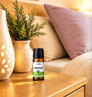 Huile Essentielle de Cannelle Pure à 100% de Qualité Supérieure, 10ml, Distillée à la Vapeur, Fournisseur d'Usine, Marque Privée OEM pour Diffuseur