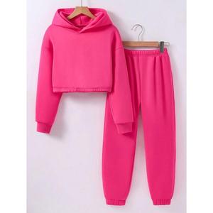 Sudadera con capucha de longitud corta para niñas con chándal inferior de ajuste regular Logotipo personalizado Impreso Sudaderas con capucha de chándal de lana de moda de la India - Product Image 2