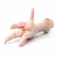 Pieds, ailes, cuisses et têtes de poulet halal surgelés de qualité supérieure, transformés IQF, emballage de qualité export