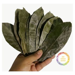 Feuilles de corossol séchées de qualité supérieure en gros du Vietnam, feuilles de graviaola pour la production de thé et le marché d'exportation, distribution mondiale - Product Image 2
