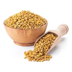 99 PERCENT PURITY NATURAL SORTEX FENUGREEK SEEDS FOR SALE BY EXPORTERS AT COMPETITIVE PRICE