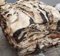 Des peaux de vache et de mouton à vendre. Cuirs et peaux kenyans de qualité supérieure. Variété de peaux du Kenya vache, chèvre et chameau pour l'exportation.