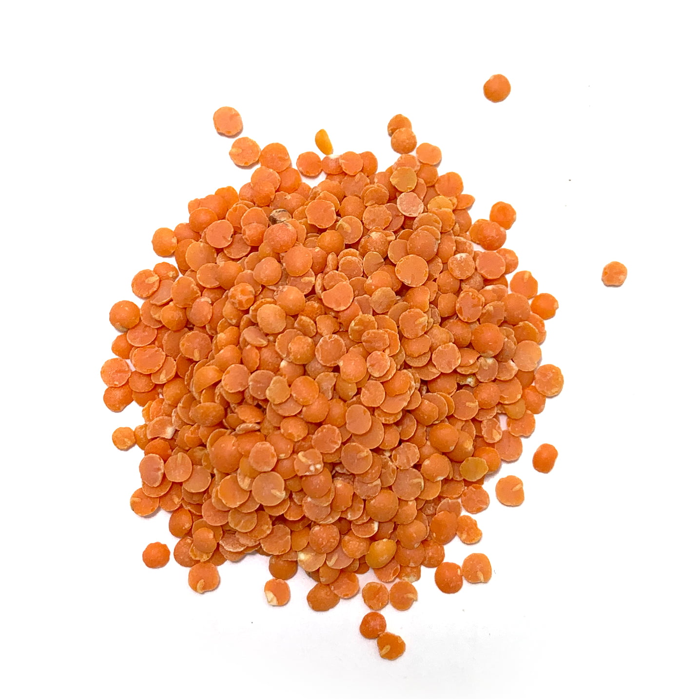 canadian red lentils