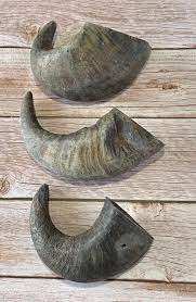 Corne de buffle brute de qualité supérieure authentique 100% naturelle, non polie et non traitée, d'origine éthique, pour l'affichage de l'artisanat de style animal - Product Image 6