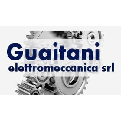 GUAITANI ELETTROMECCANICA - MOTORIDUTTORI logo