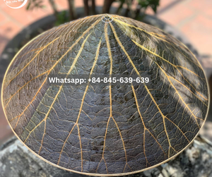 Chapeau polyvalent et réglable qui offre un ajustement confortable pour toutes les tailles de tête du fournisseur du Vietnam - Product Image 4