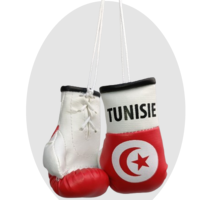 Mini gants de boxe personnalisés avec drapeau national, porte-clés de voiture en cuir PU durable, protection UV longue durée LAST STAR
