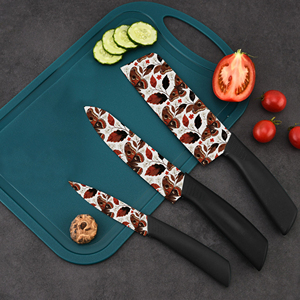 Cuchillo de Chef de Cerámica al por Mayor de Fábrica con Mango de Plástico para Cocina, Calidad Premium, Envío Gratis - Product Image 4